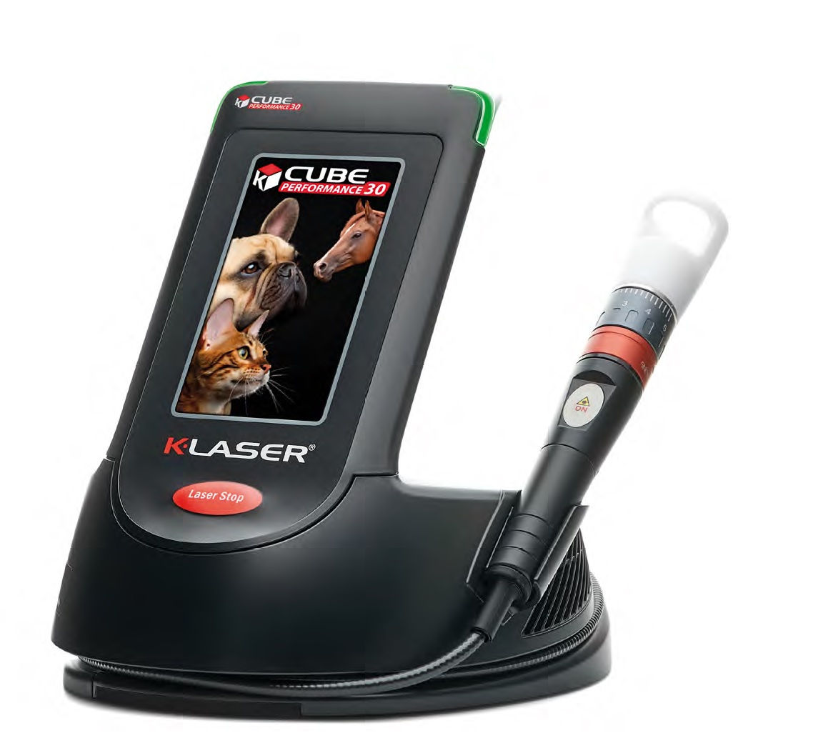 K-Laser Cube 4 Plus 30 model Class IV therapeutic laser for veterinary practices